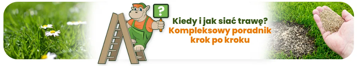 Kiedy i jak siać trawę? Kompleksowy poradnik krok po kroku